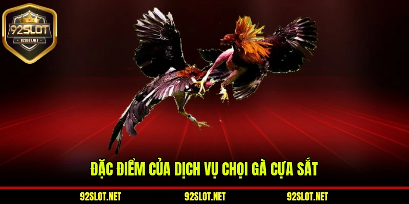Đặc điểm của dịch vụ chọi gà cựa sắt
