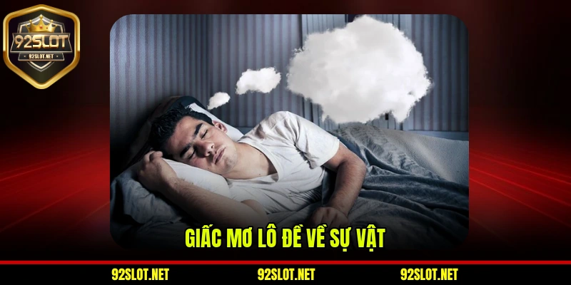 Giấc mơ lô đề về sự vật