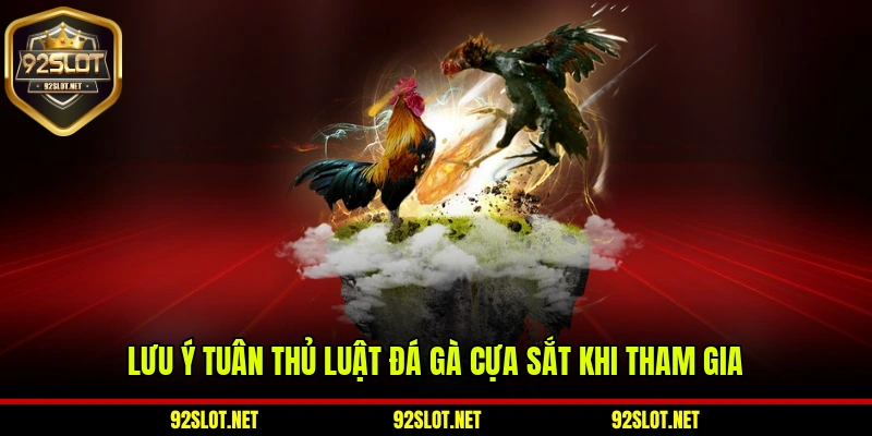 Lưu ý tuân thủ luật đá gà cựa sắt khi tham gia